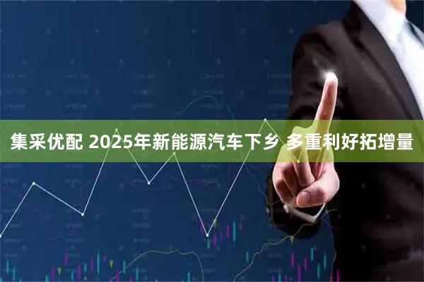 集采优配 2025年新能源汽车下乡 多重利好拓增量